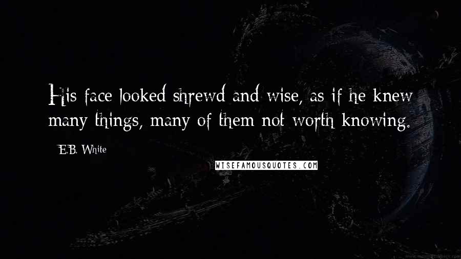 E.B. White Quotes: His face looked shrewd and wise, as if he knew many things, many of them not worth knowing.