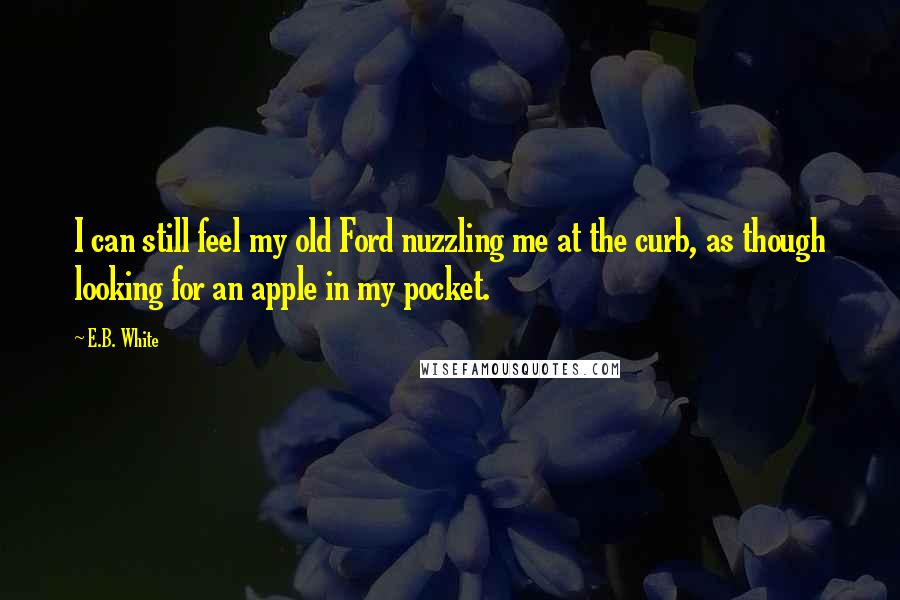 E.B. White Quotes: I can still feel my old Ford nuzzling me at the curb, as though looking for an apple in my pocket.