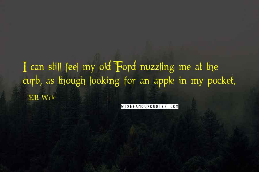 E.B. White Quotes: I can still feel my old Ford nuzzling me at the curb, as though looking for an apple in my pocket.