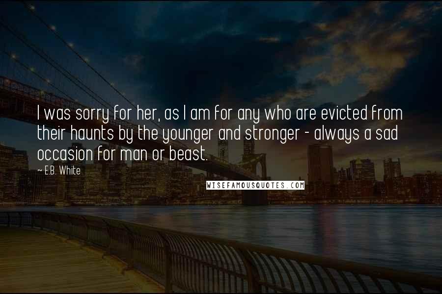 E.B. White Quotes: I was sorry for her, as I am for any who are evicted from their haunts by the younger and stronger - always a sad occasion for man or beast.