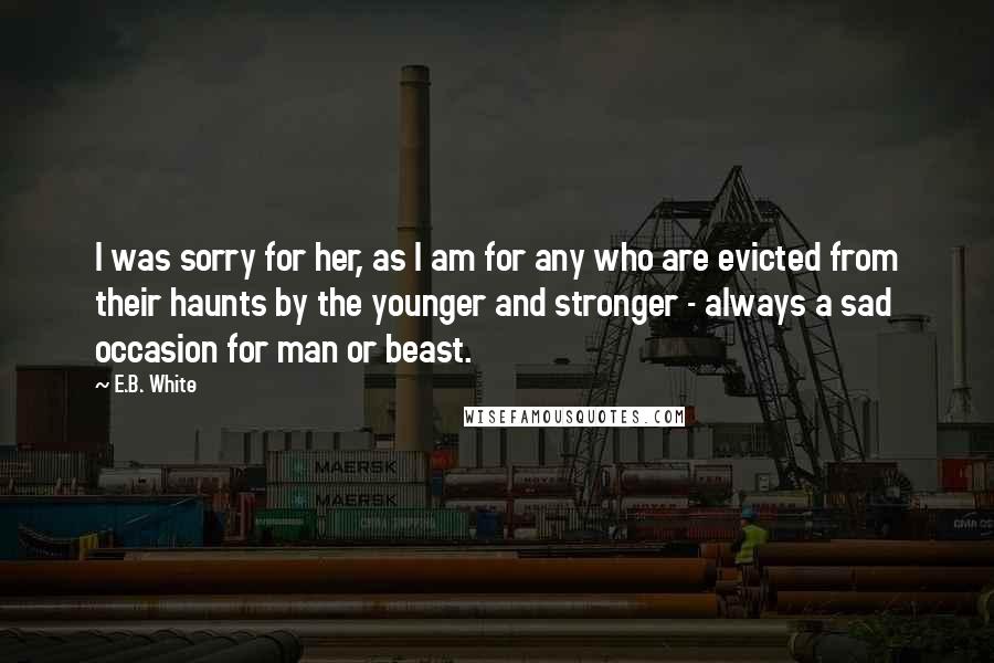 E.B. White Quotes: I was sorry for her, as I am for any who are evicted from their haunts by the younger and stronger - always a sad occasion for man or beast.