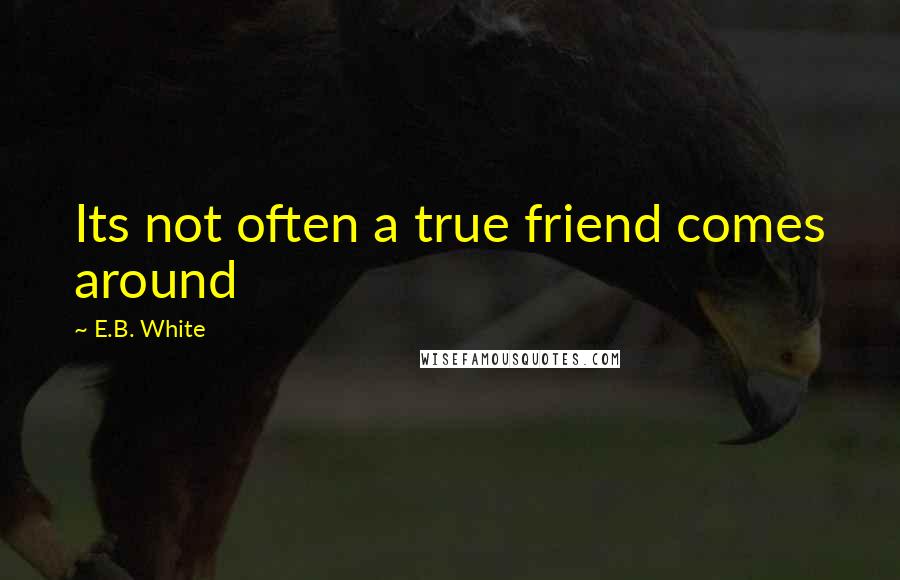 E.B. White Quotes: Its not often a true friend comes around