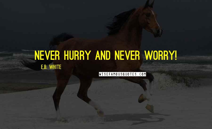 E.B. White Quotes: Never hurry and never worry!