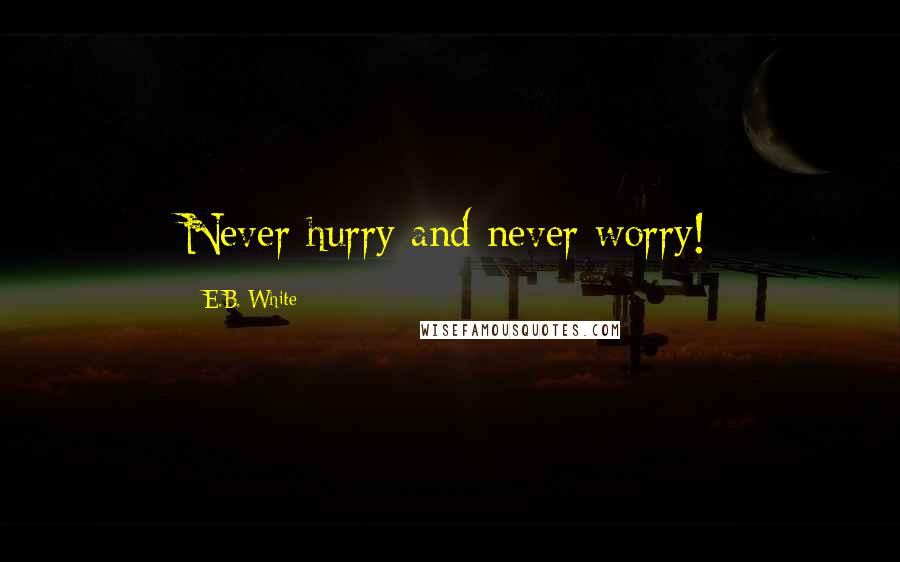 E.B. White Quotes: Never hurry and never worry!