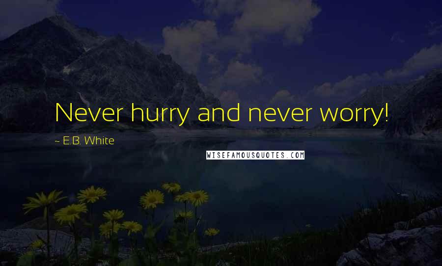 E.B. White Quotes: Never hurry and never worry!