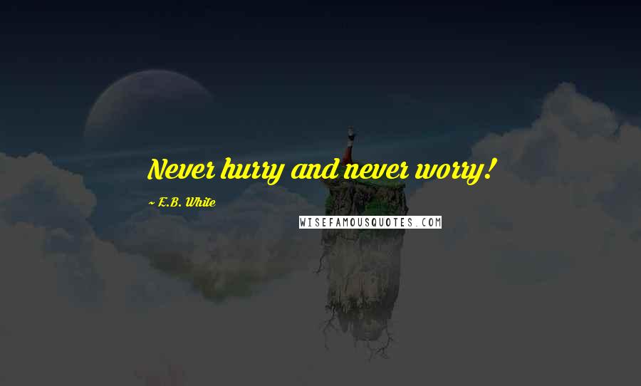 E.B. White Quotes: Never hurry and never worry!