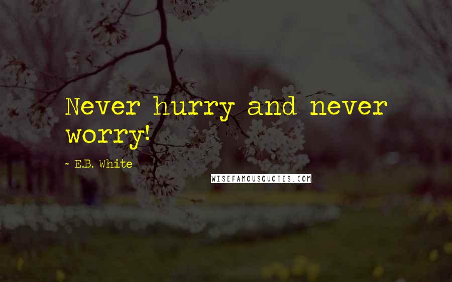 E.B. White Quotes: Never hurry and never worry!