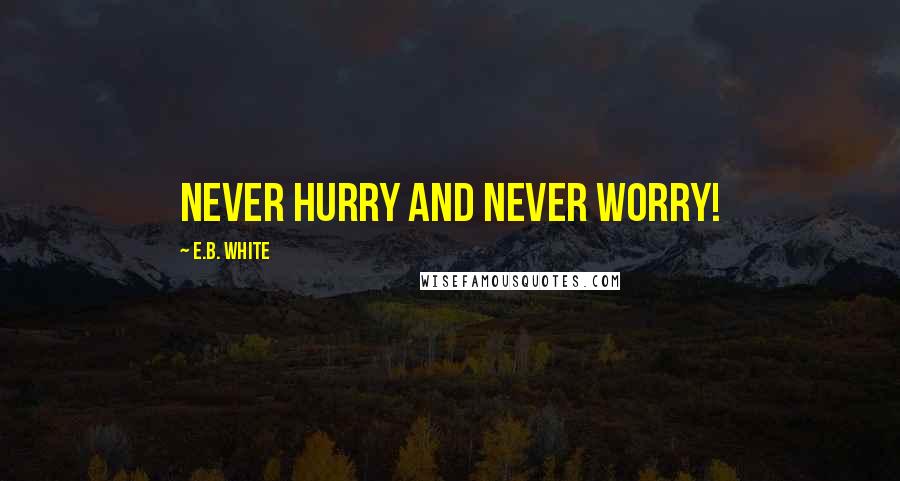 E.B. White Quotes: Never hurry and never worry!