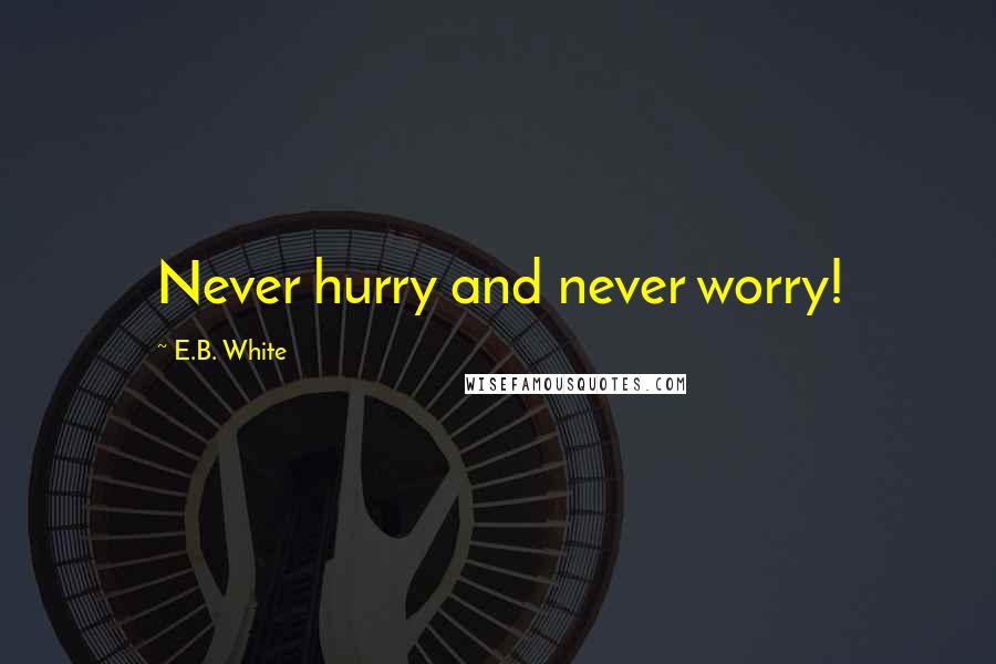 E.B. White Quotes: Never hurry and never worry!