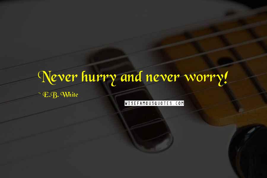 E.B. White Quotes: Never hurry and never worry!