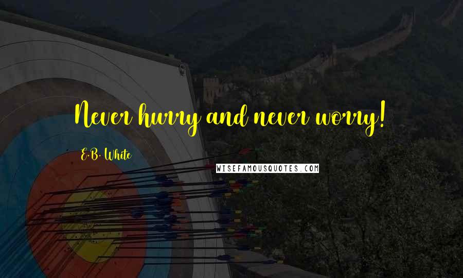 E.B. White Quotes: Never hurry and never worry!