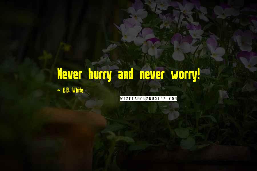 E.B. White Quotes: Never hurry and never worry!