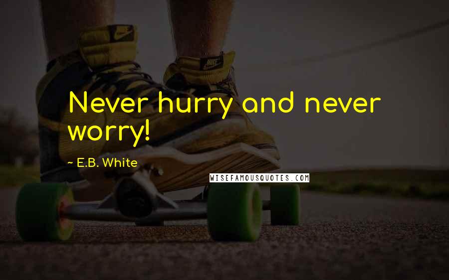 E.B. White Quotes: Never hurry and never worry!