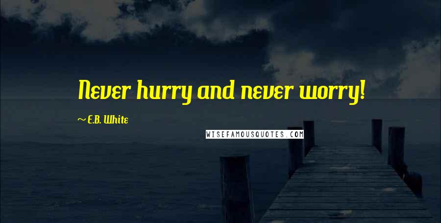 E.B. White Quotes: Never hurry and never worry!