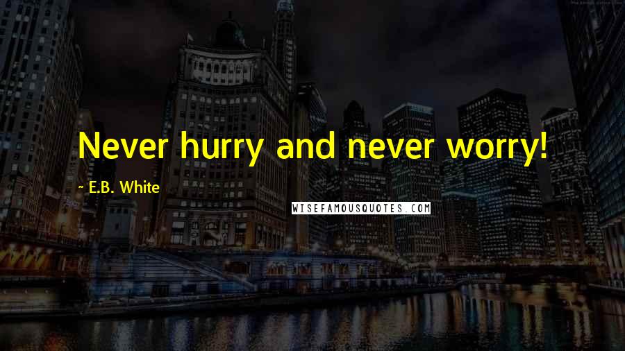 E.B. White Quotes: Never hurry and never worry!