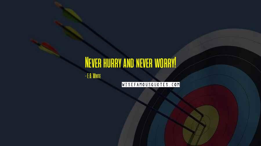 E.B. White Quotes: Never hurry and never worry!