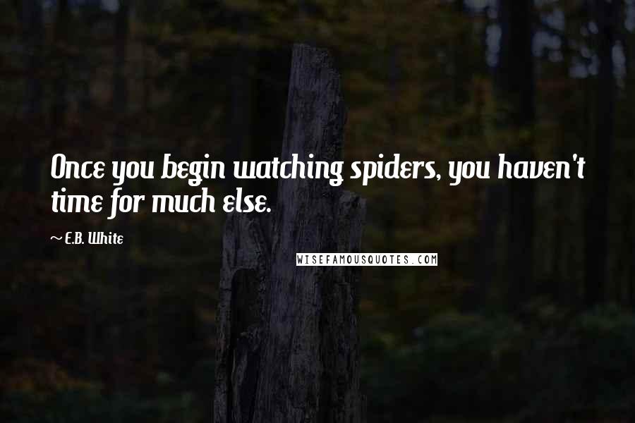 E.B. White Quotes: Once you begin watching spiders, you haven't time for much else.