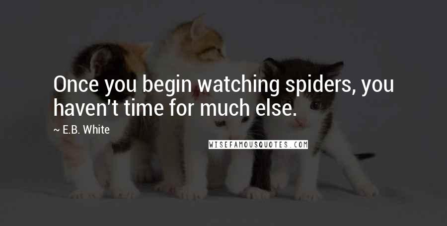 E.B. White Quotes: Once you begin watching spiders, you haven't time for much else.