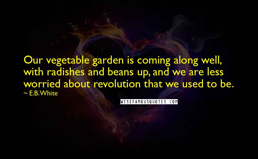 E.B. White Quotes: Our vegetable garden is coming along well, with radishes and beans up, and we are less worried about revolution that we used to be.