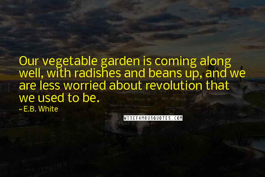 E.B. White Quotes: Our vegetable garden is coming along well, with radishes and beans up, and we are less worried about revolution that we used to be.