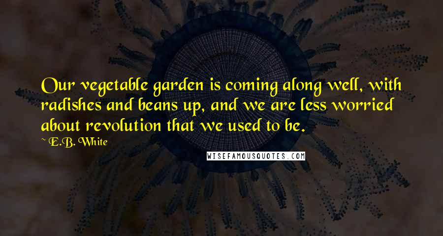 E.B. White Quotes: Our vegetable garden is coming along well, with radishes and beans up, and we are less worried about revolution that we used to be.