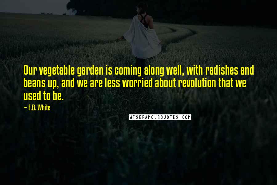 E.B. White Quotes: Our vegetable garden is coming along well, with radishes and beans up, and we are less worried about revolution that we used to be.