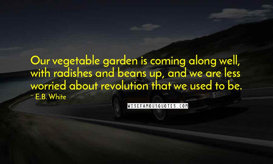 E.B. White Quotes: Our vegetable garden is coming along well, with radishes and beans up, and we are less worried about revolution that we used to be.