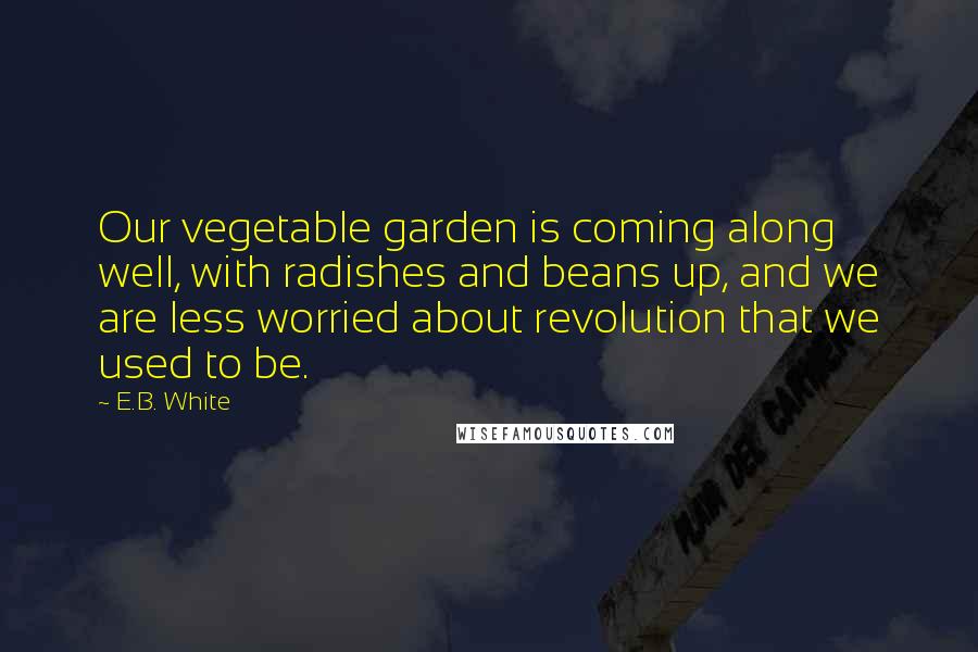 E.B. White Quotes: Our vegetable garden is coming along well, with radishes and beans up, and we are less worried about revolution that we used to be.
