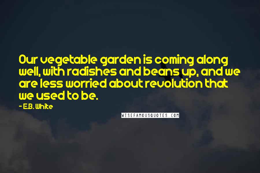 E.B. White Quotes: Our vegetable garden is coming along well, with radishes and beans up, and we are less worried about revolution that we used to be.