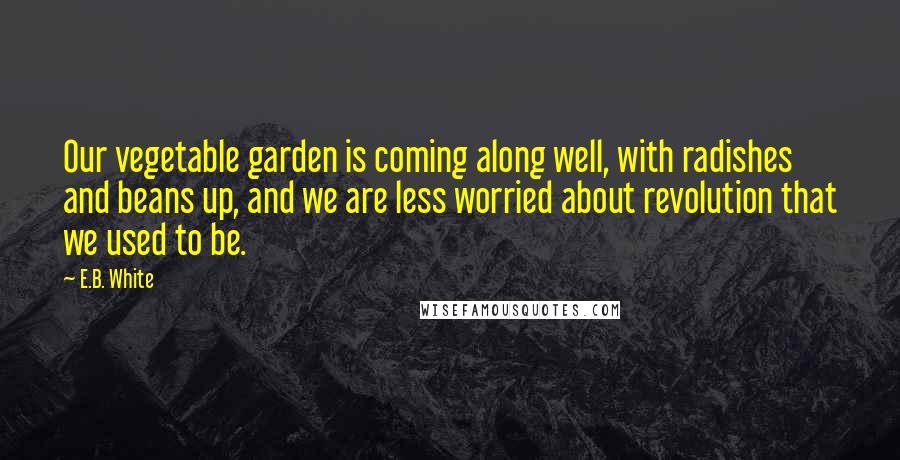 E.B. White Quotes: Our vegetable garden is coming along well, with radishes and beans up, and we are less worried about revolution that we used to be.