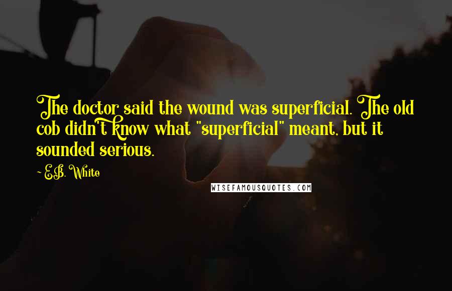 E.B. White Quotes: The doctor said the wound was superficial. The old cob didn't know what "superficial" meant, but it sounded serious.