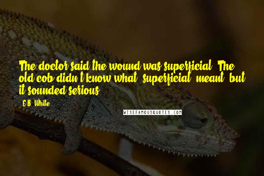 E.B. White Quotes: The doctor said the wound was superficial. The old cob didn't know what "superficial" meant, but it sounded serious.