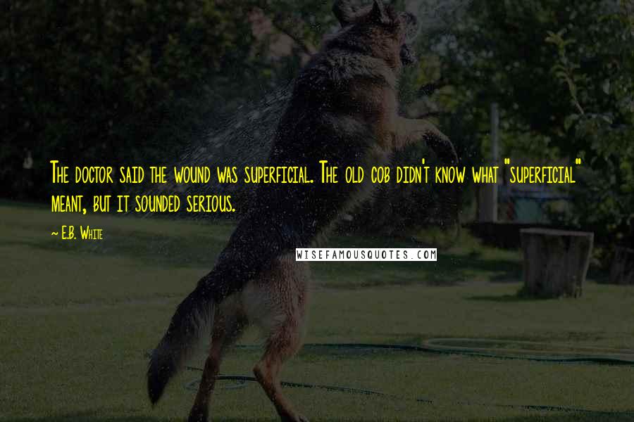 E.B. White Quotes: The doctor said the wound was superficial. The old cob didn't know what "superficial" meant, but it sounded serious.