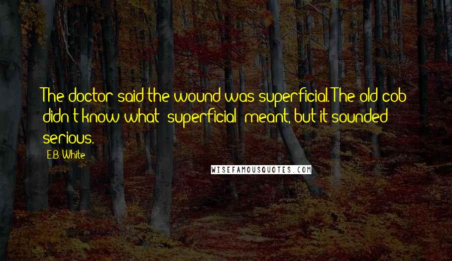 E.B. White Quotes: The doctor said the wound was superficial. The old cob didn't know what "superficial" meant, but it sounded serious.