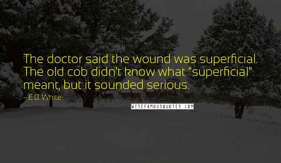 E.B. White Quotes: The doctor said the wound was superficial. The old cob didn't know what "superficial" meant, but it sounded serious.