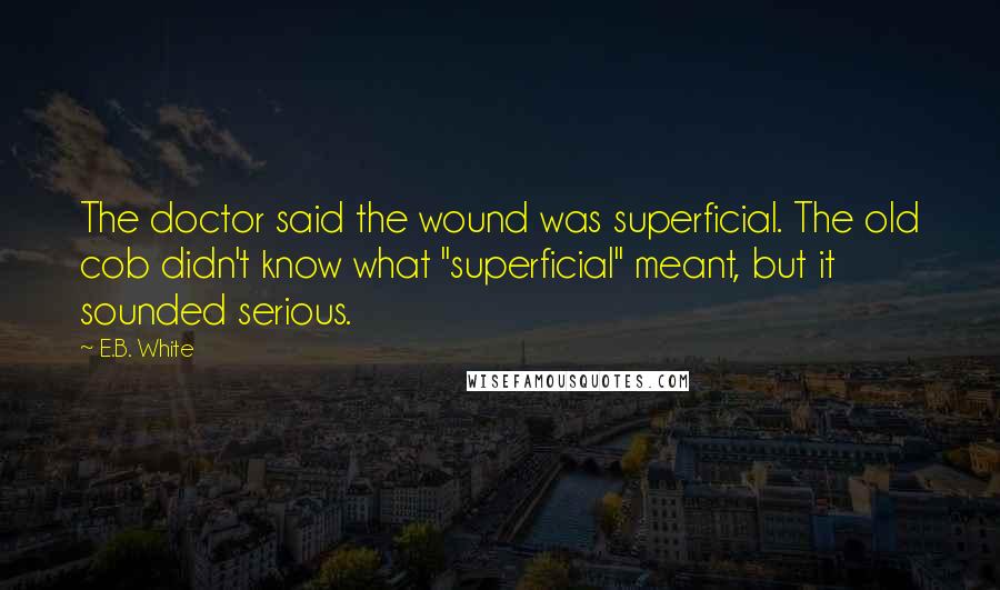 E.B. White Quotes: The doctor said the wound was superficial. The old cob didn't know what "superficial" meant, but it sounded serious.