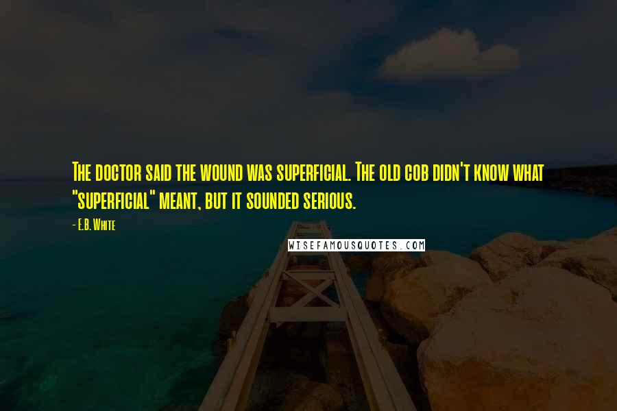 E.B. White Quotes: The doctor said the wound was superficial. The old cob didn't know what "superficial" meant, but it sounded serious.