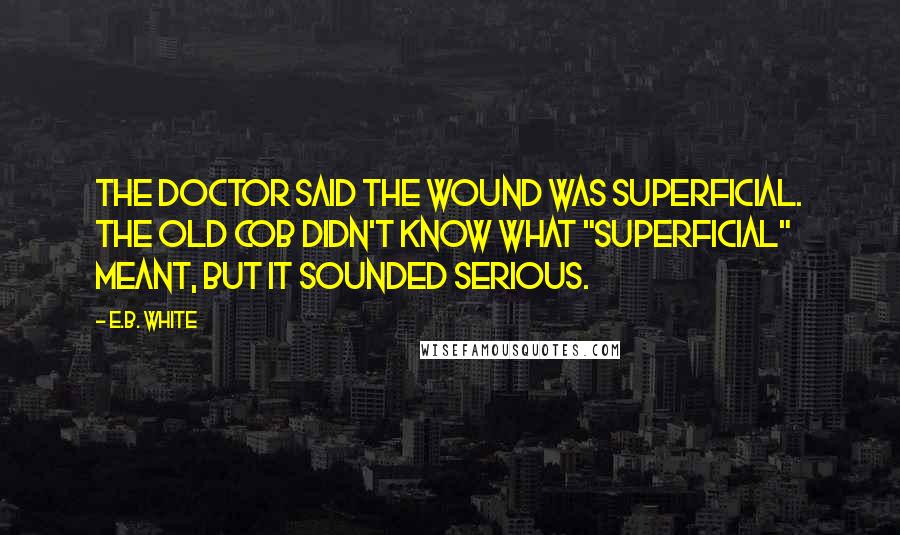 E.B. White Quotes: The doctor said the wound was superficial. The old cob didn't know what "superficial" meant, but it sounded serious.