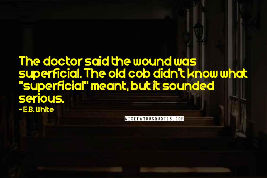 E.B. White Quotes: The doctor said the wound was superficial. The old cob didn't know what "superficial" meant, but it sounded serious.