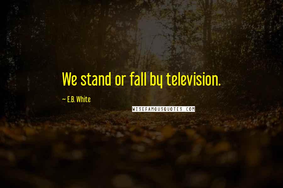 E.B. White Quotes: We stand or fall by television.