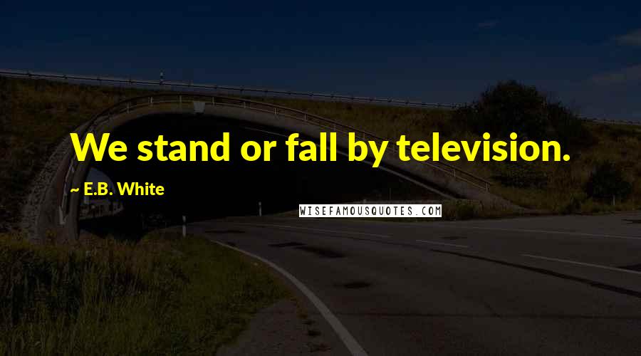 E.B. White Quotes: We stand or fall by television.