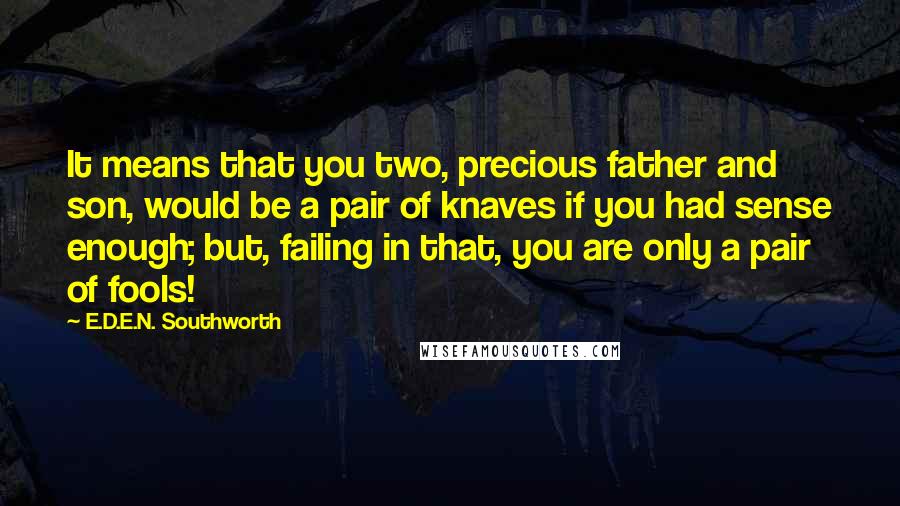 E.D.E.N. Southworth Quotes: It means that you two, precious father and son, would be a pair of knaves if you had sense enough; but, failing in that, you are only a pair of fools!