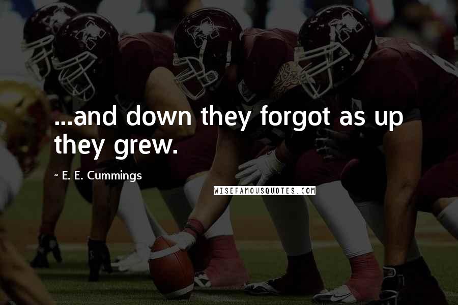 E. E. Cummings Quotes: ...and down they forgot as up they grew.