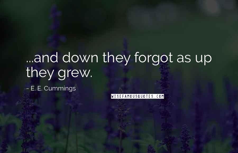 E. E. Cummings Quotes: ...and down they forgot as up they grew.