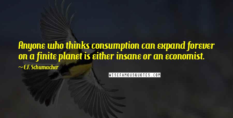 E.F. Schumacher Quotes: Anyone who thinks consumption can expand forever on a finite planet is either insane or an economist.