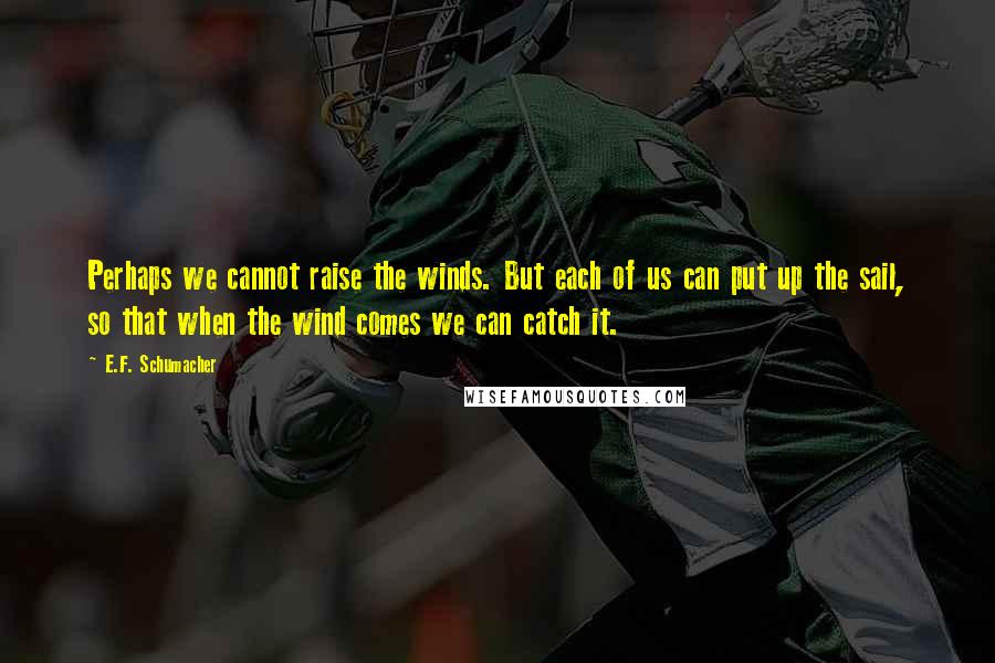 E.F. Schumacher Quotes: Perhaps we cannot raise the winds. But each of us can put up the sail, so that when the wind comes we can catch it.