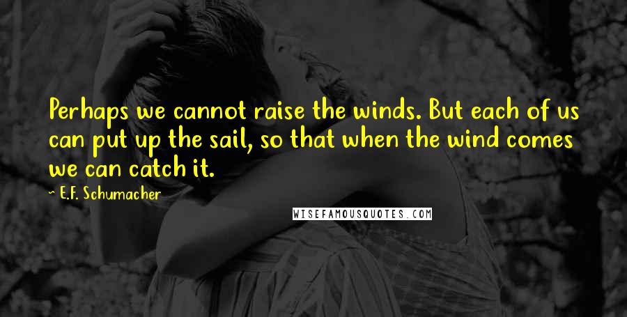 E.F. Schumacher Quotes: Perhaps we cannot raise the winds. But each of us can put up the sail, so that when the wind comes we can catch it.