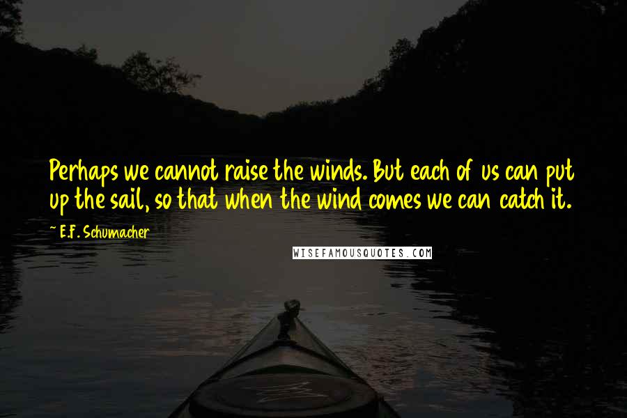 E.F. Schumacher Quotes: Perhaps we cannot raise the winds. But each of us can put up the sail, so that when the wind comes we can catch it.