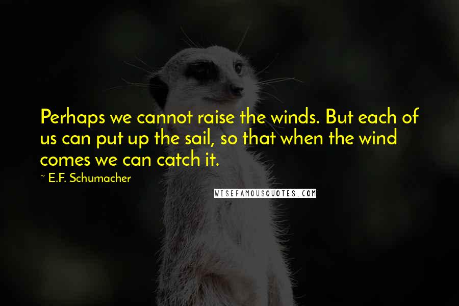 E.F. Schumacher Quotes: Perhaps we cannot raise the winds. But each of us can put up the sail, so that when the wind comes we can catch it.