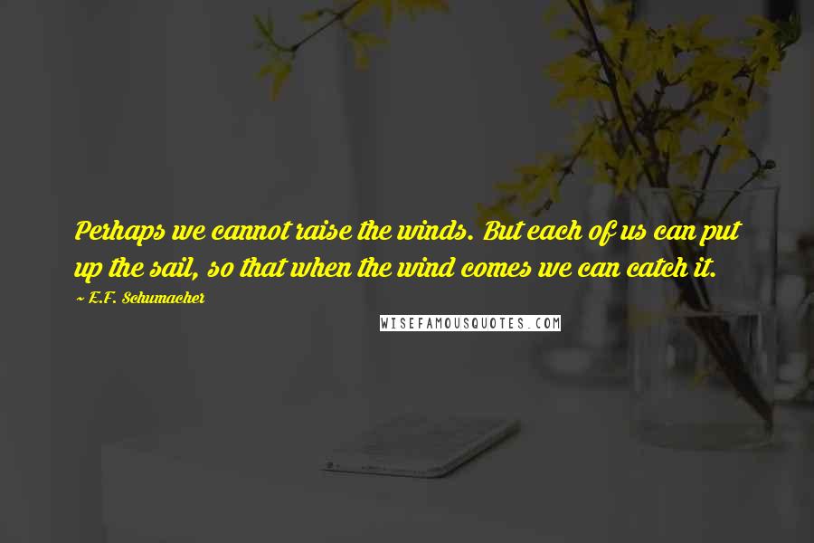 E.F. Schumacher Quotes: Perhaps we cannot raise the winds. But each of us can put up the sail, so that when the wind comes we can catch it.